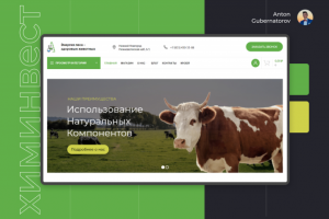 Сайт ХИМИНВЕСТ