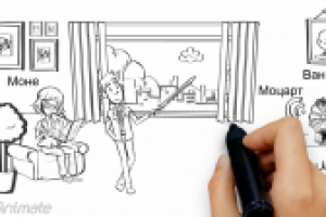 Скунс без хвоста