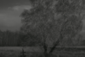 Забытые воины Гражданской войны