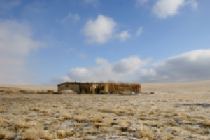 Хрустальная степь 2