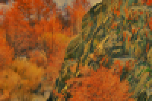 Григорьевские водопады 2