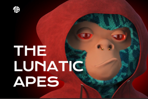 Вёрстка Monkey