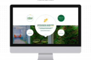 Создание продающего сайта leto-smara