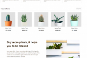 Вёрстка сайта - "Кактусы" по макету из Figma.