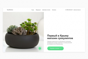 Магазин суккулентов