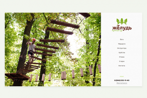 Верёвочный парк. Лендинг. (acornpark.ru)