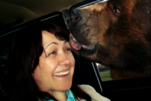 Работа 2890016