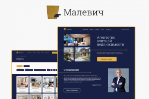 Сайт для элитного агентства недвижимости "Малевич"