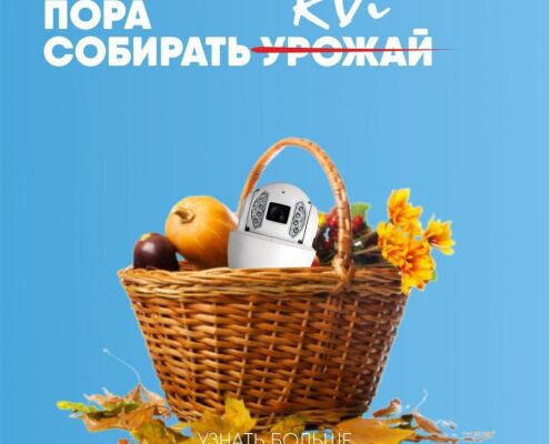 img4421479.png