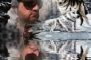 Работа 2464490