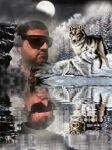 img2464490.png