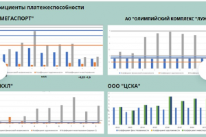 Презентация по теме "Финансово-экономический анализ спортивной о