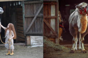 хyдожественная-ретyшь