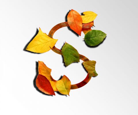 img4319953.png