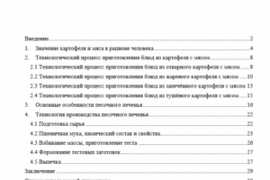 Выпускная квалификационная работа