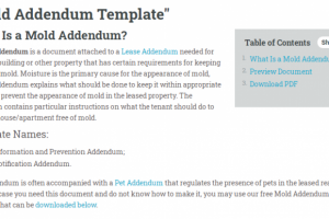 What Is a Mold Addendum?