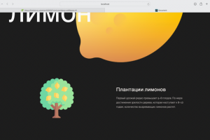 сайт с анимацией объектов