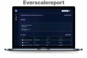 Сервис мониторинга активов кошельков Everscale