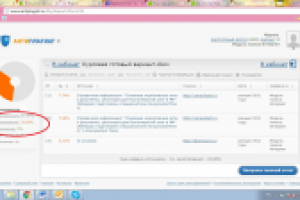 Управление деятельностью таможенного органа