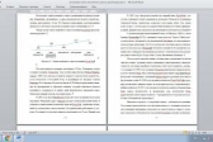 Основные этапы жизненного цикла организации