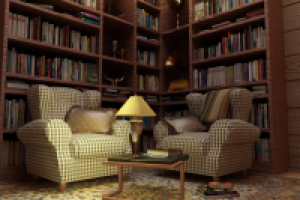 Библиотека из каминов