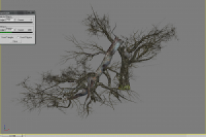 Растительность_01