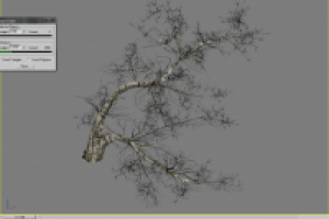 Растительность_02