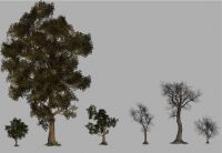 img1340006.png