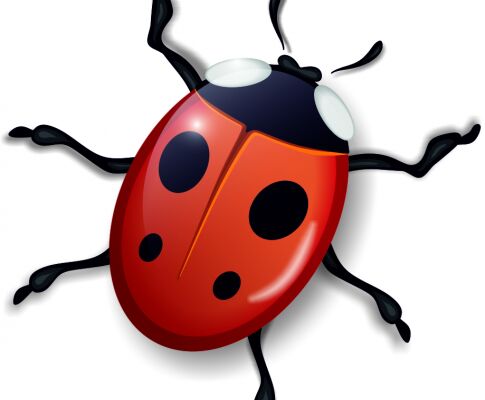 img3400535.png