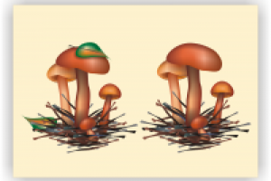 Работа 2078137