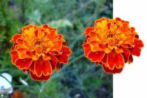 Работа 3587894