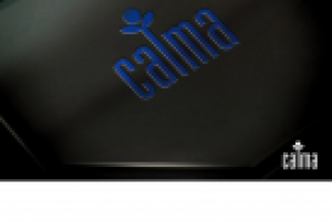 Нейминг + логотип для компании продающей окна