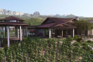 Винодельное хозяйство в Крыму 3