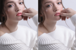 Работа 3009096