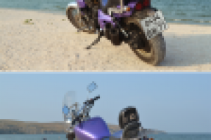 Работа 3009098