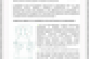 Как правильно выбрать свадебное агенство?