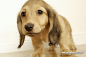 Главная страница интернет магазина