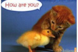 Знакомьтесь: языковой барьер