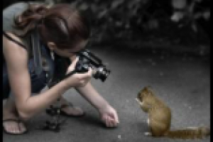 Правила композиции: как сделать красивую фотографию