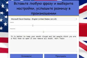 Британский и американский акцент. Введите любую фразу!