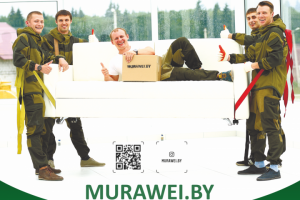 Баннер для компании по перевозке грузов Муравей