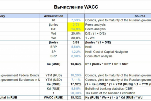 Финансовая модель для крупного игрока
