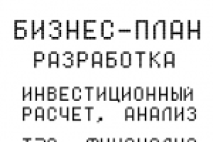 Бизнес-планирование, инвестиции ОП
