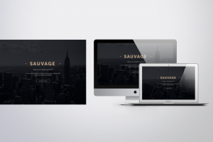 Мужские духи "Sauvage"