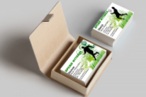 Время футбола визитки