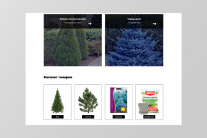 Магазин елей и сосен