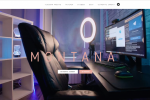 SEO оптимизация сайта MONTANA