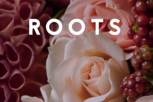 Цветы Roots