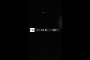 Рекламный сторис для проекта New Tribe