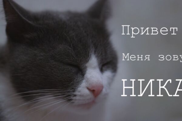 img3886618.png
